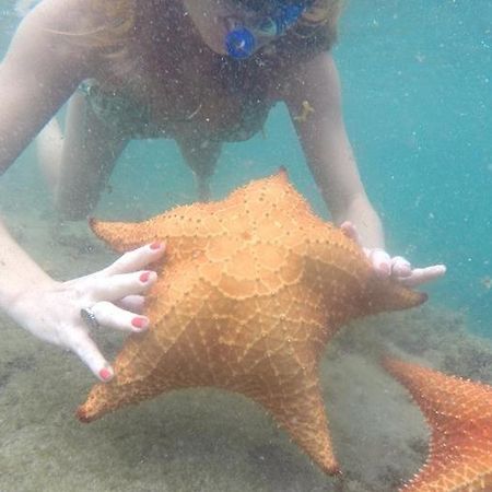 Kitnet Aconchegante A 200M Da Praia Appartement Angra dos Reis Buitenkant foto